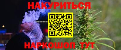сатива Лесосибирск