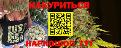 сатива Лесосибирск
