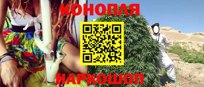 сатива Лесосибирск