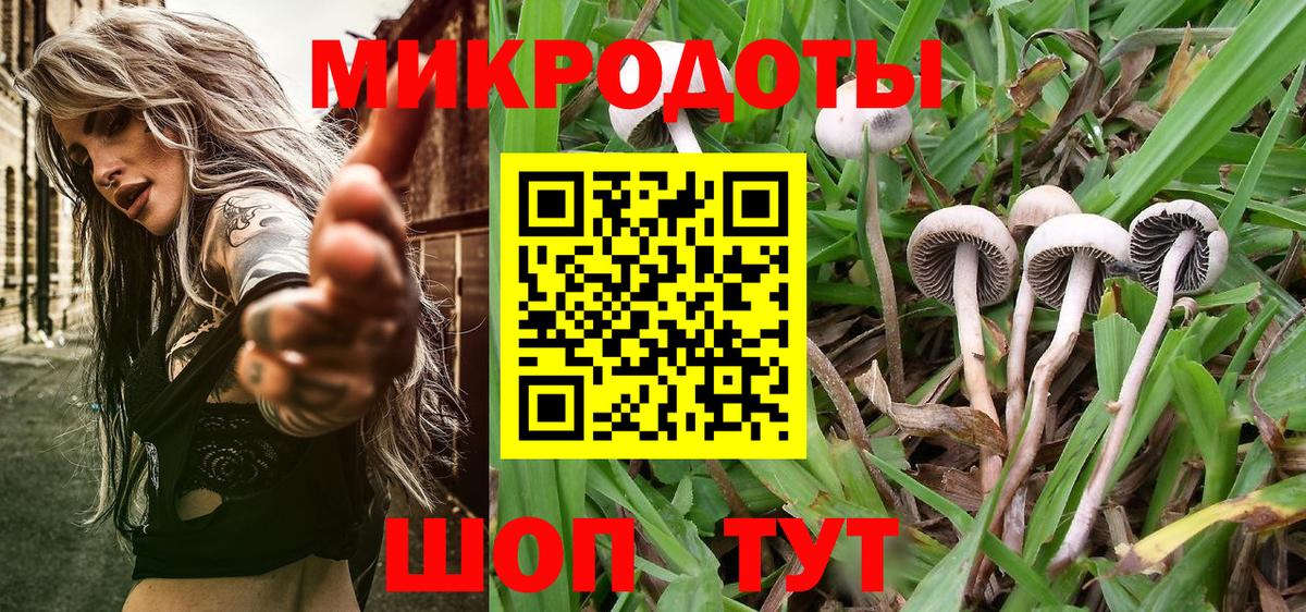 Псилоцибиновые грибы Magic Shrooms  Вход с VPN  Галлюциногенные грибы мухоморы  Горячий Ключ 