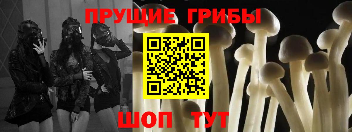 Галлюциногенные грибы ЛСД Горячий Ключ